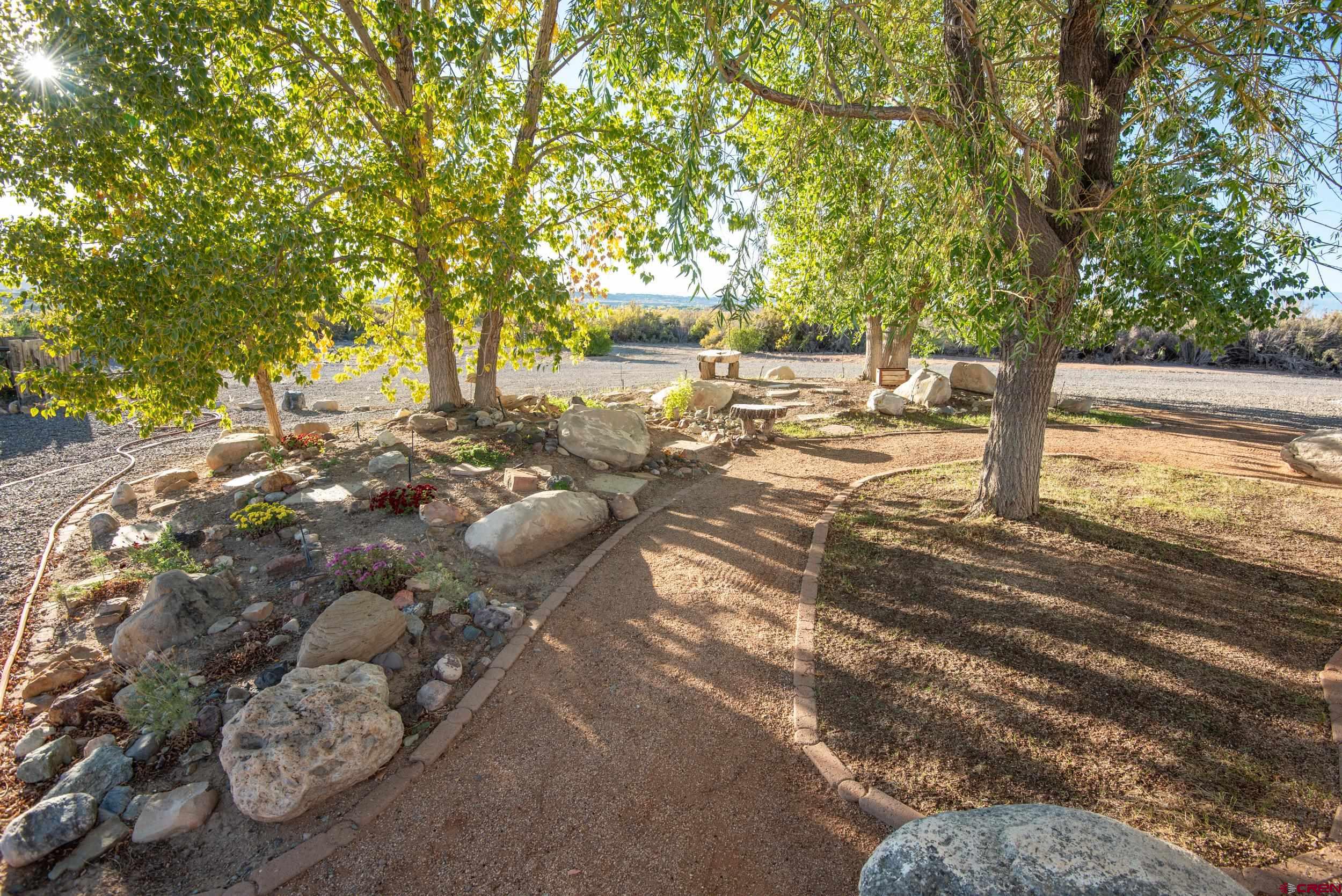 61928 Jay Jay Road Montrose, CO 81401 - Photo 28 of 36 a view of a yard with plants