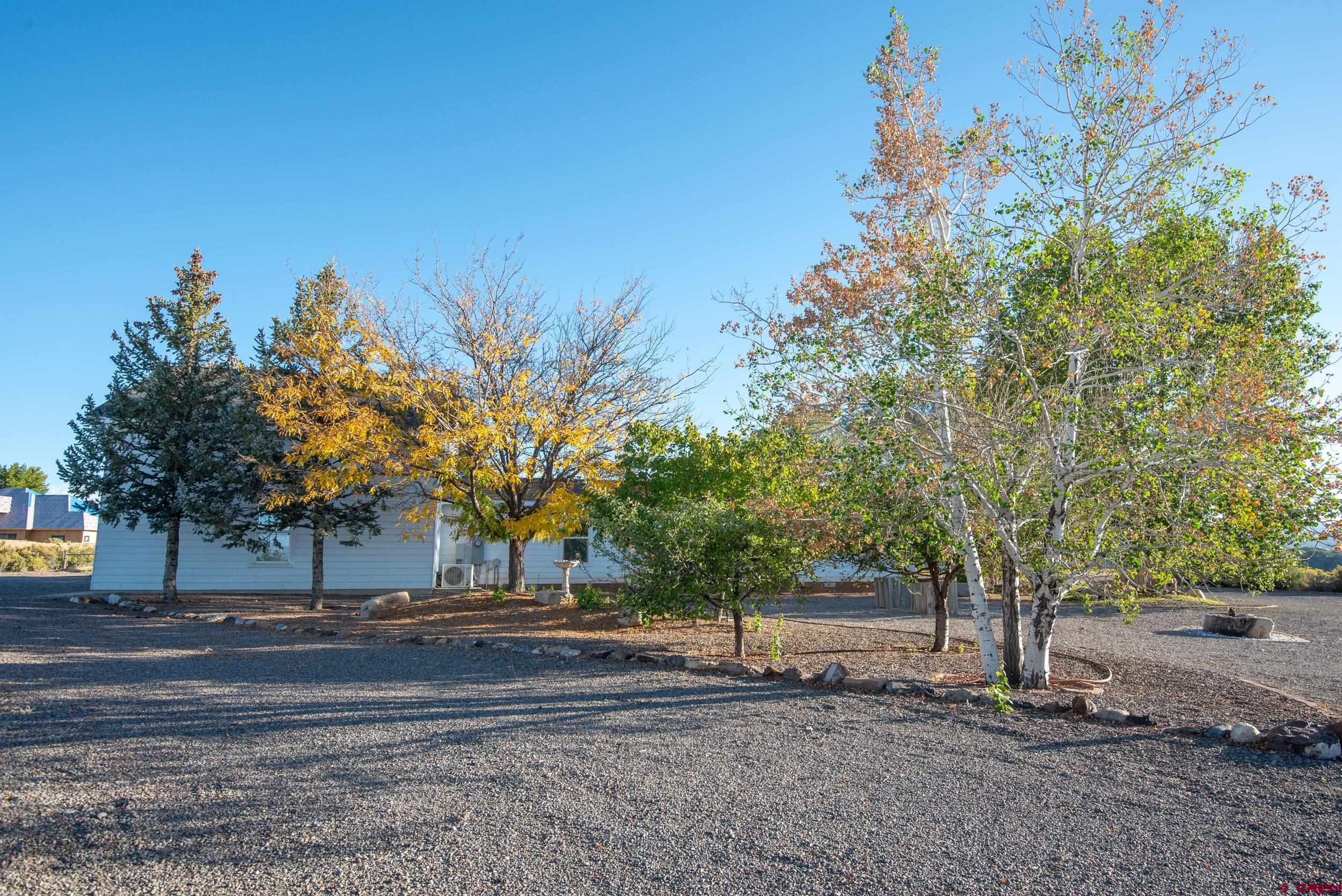 61928 Jay Jay Road Montrose, CO 81401 - Photo 30 of 36 a view of backyard with green space