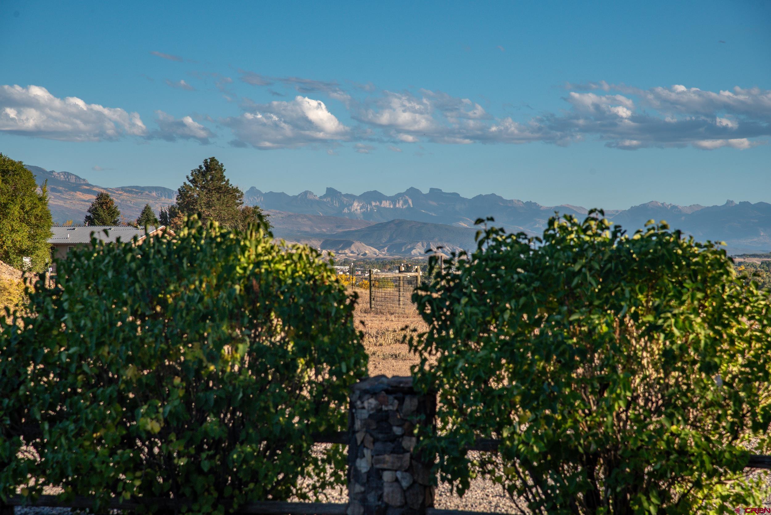 61928 Jay Jay Road Montrose, CO 81401 - Photo 36 of 36