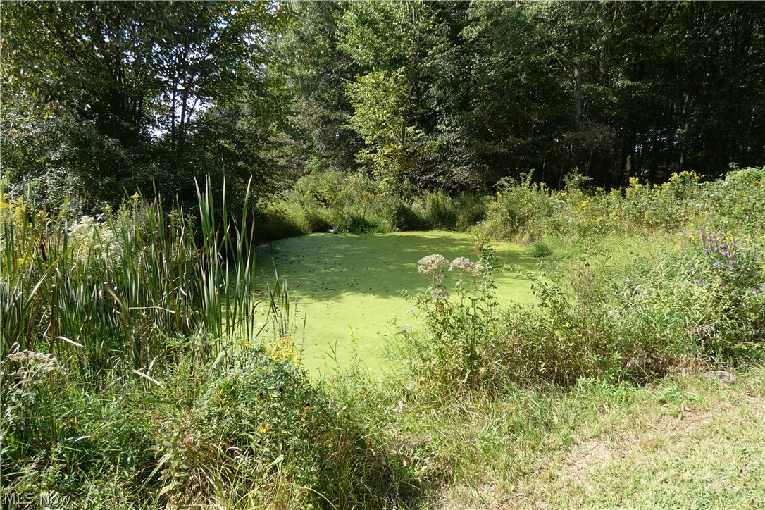 5089 Wayne Road Mantua, OH 44255 - Photo 26 of 26 Gallery Image 26