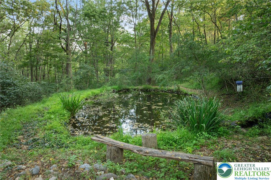 Eo Little Creek Road Bangor, PA 18013 - Photo 45 of 57 a view of a forest with a street