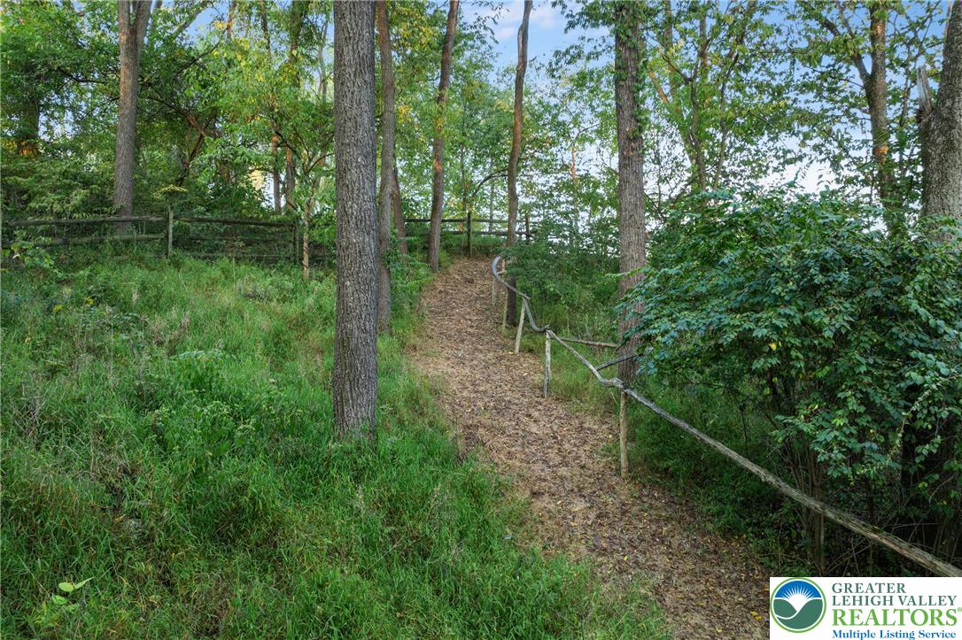 Eo Little Creek Road Bangor, PA 18013 - Photo 47 of 57 a view of a forest with a tree