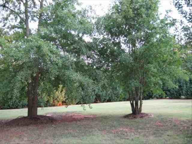 510 Blume Road Anderson, SC 29625 - Photo 23 of 24