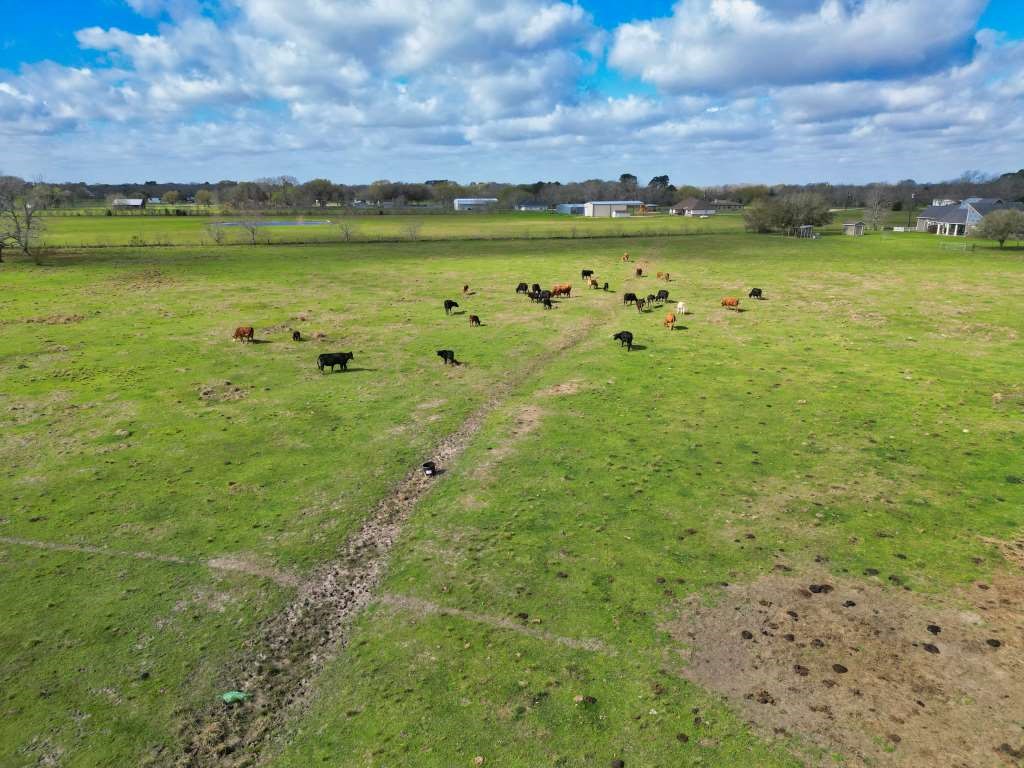 10310 FM 361 Road Needville, TX 77461 - Photo 26 of 29