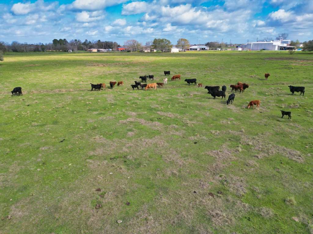 10310 FM 361 Road Needville, TX 77461 - Photo 27 of 29