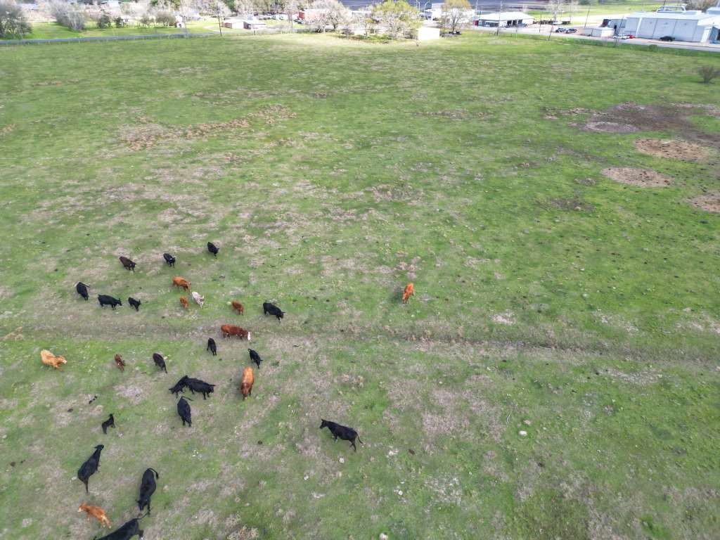 10310 FM 361 Road Needville, TX 77461 - Photo 28 of 29