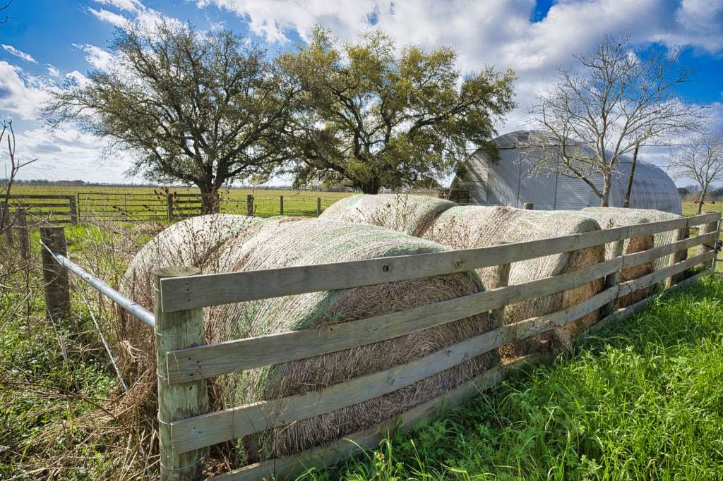 10310 FM 361 Road Needville, TX 77461 - Photo 10 of 29