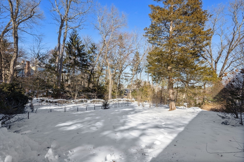 27 Locust Avenue Lexington, MA 02421 - Photo 28 of 38