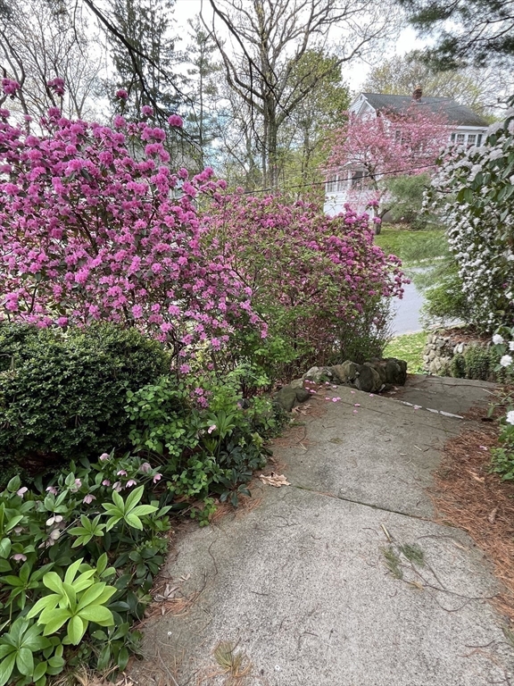 27 Locust Avenue Lexington, MA 02421 - Photo 32 of 38 a view of a house with a yard and flowers