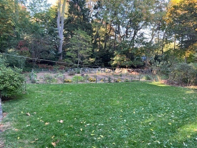 27 Locust Avenue Lexington, MA 02421 - Photo 34 of 38 a view of yard with green space