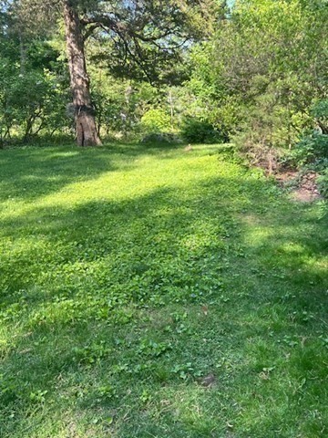 27 Locust Avenue Lexington, MA 02421 - Photo 35 of 38 a view of yard with green space