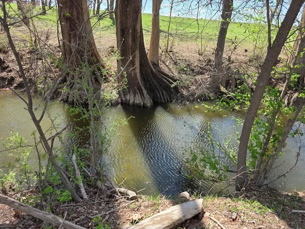a green field with lots of trees