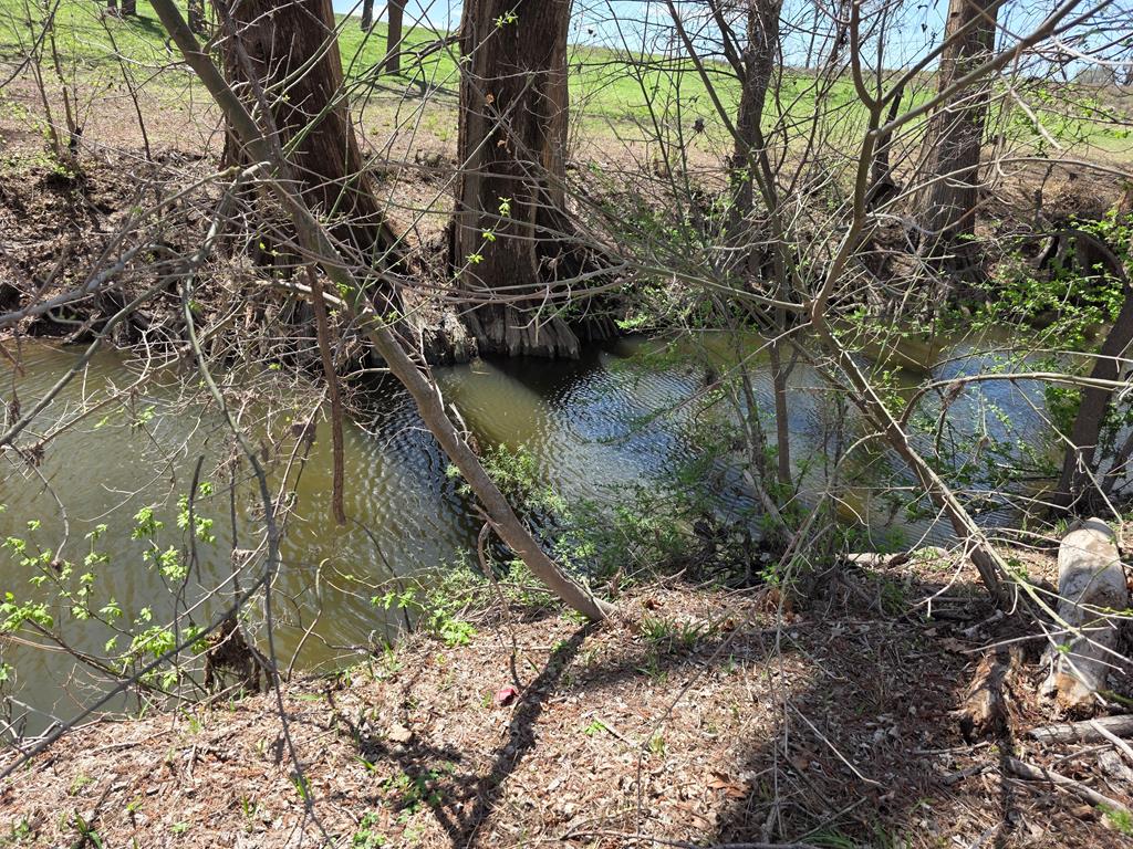 609 Water Street Comfort, TX 78013 - Photo 11 of 17 a view of lake