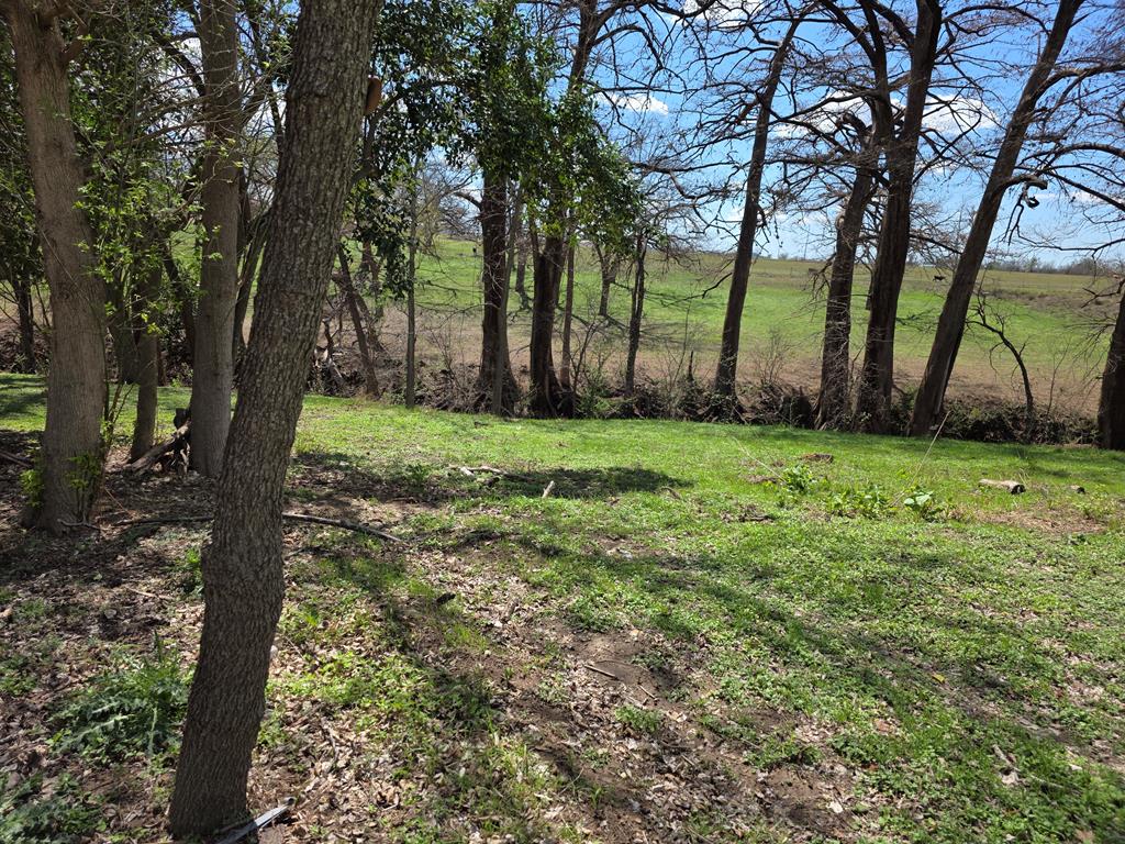 609 Water Street Comfort, TX 78013 - Photo 12 of 17 a view of a trees with a yard