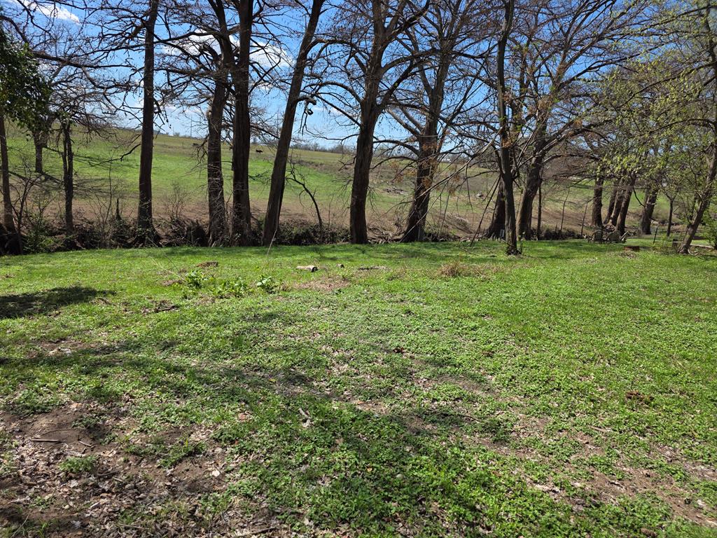 609 Water Street Comfort, TX 78013 - Photo 13 of 17 a view of backyard with tree