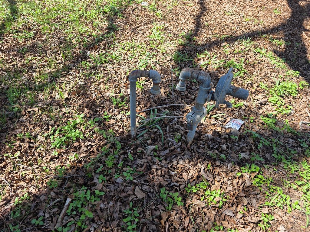 609 Water Street Comfort, TX 78013 - Photo 15 of 17 a view of a tree