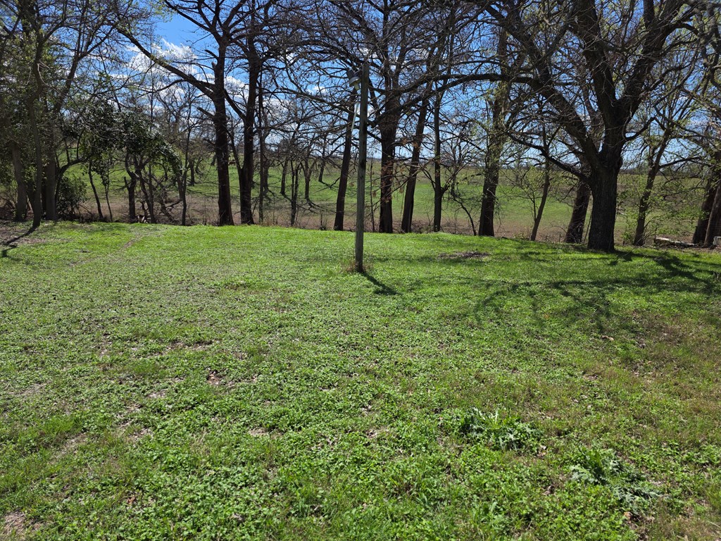 609 Water Street Comfort, TX 78013 - Photo 2 of 17 a green field with lots of trees