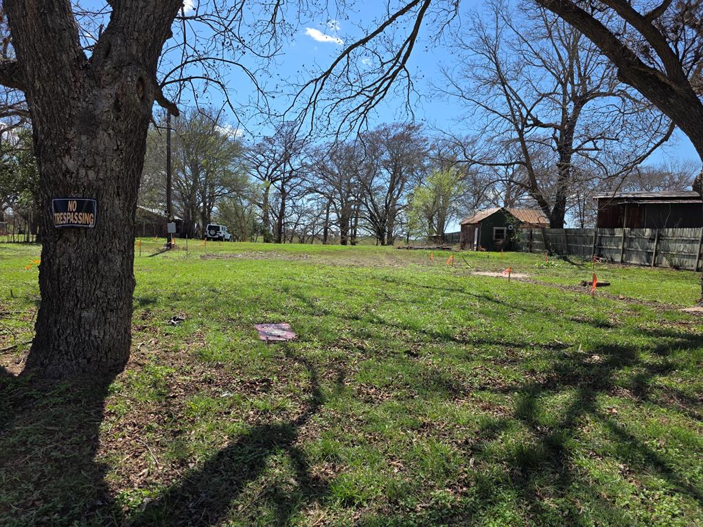609 Water Street Comfort, TX 78013 - Photo 3 of 17 a view of a trees in a yard