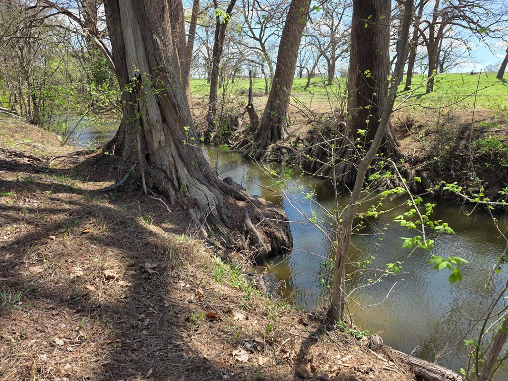 609 Water Street Comfort, TX 78013 - Photo 4 of 17 a view of lake from a tree