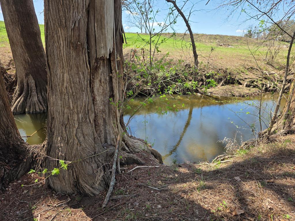 609 Water Street Comfort, TX 78013 - Photo 5 of 17 a view of a backyard of a house