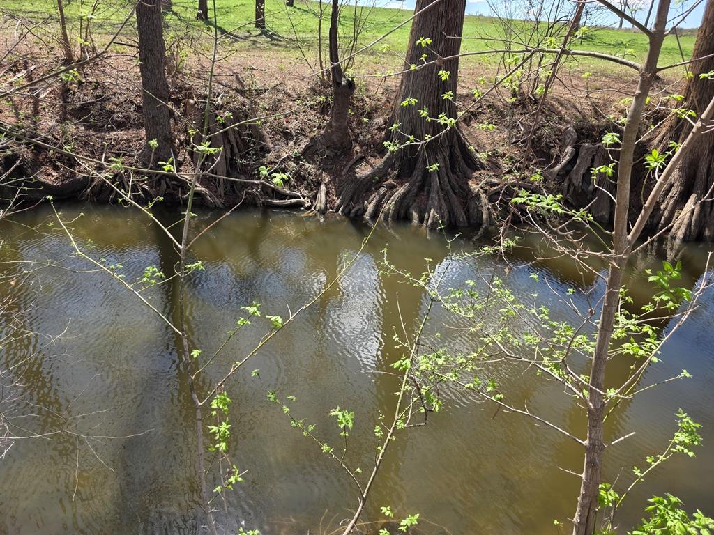 609 Water Street Comfort, TX 78013 - Photo 8 of 17 a view of water pond with green space