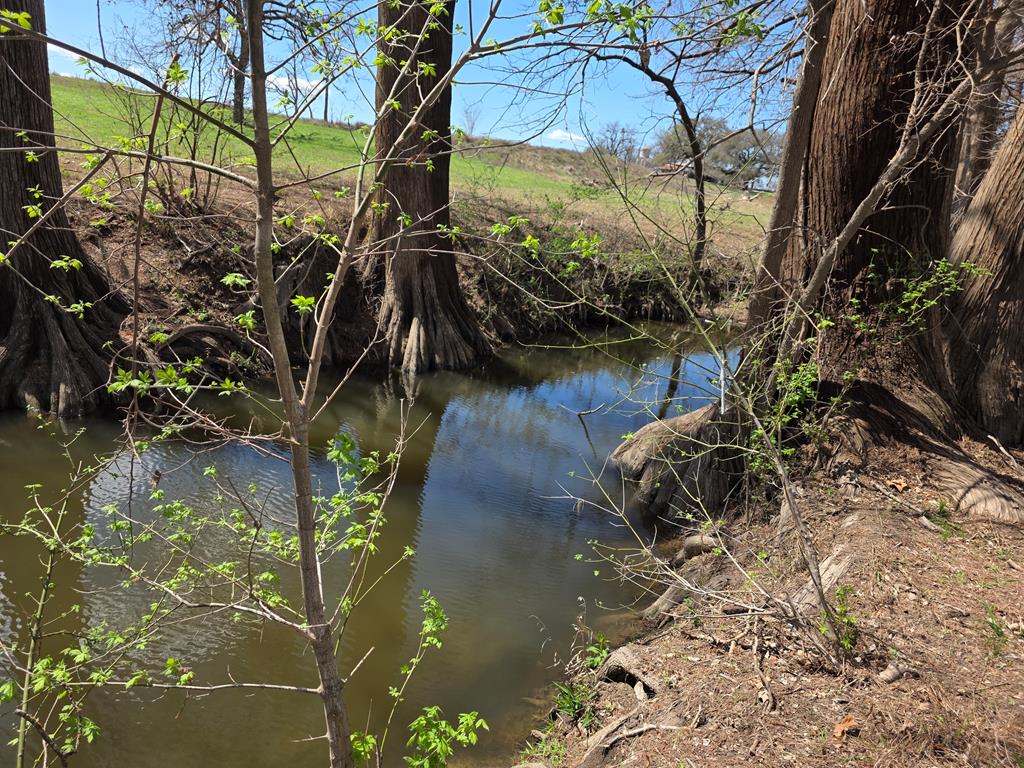 609 Water Street Comfort, TX 78013 - Photo 9 of 17 a picture of lake view