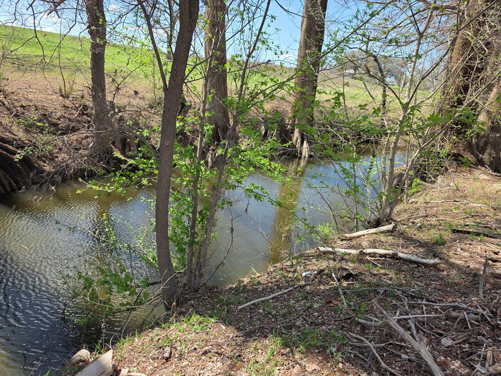 609 Water Street Comfort, TX 78013 - Photo 10 of 17 a backyard of a house with lots of green space