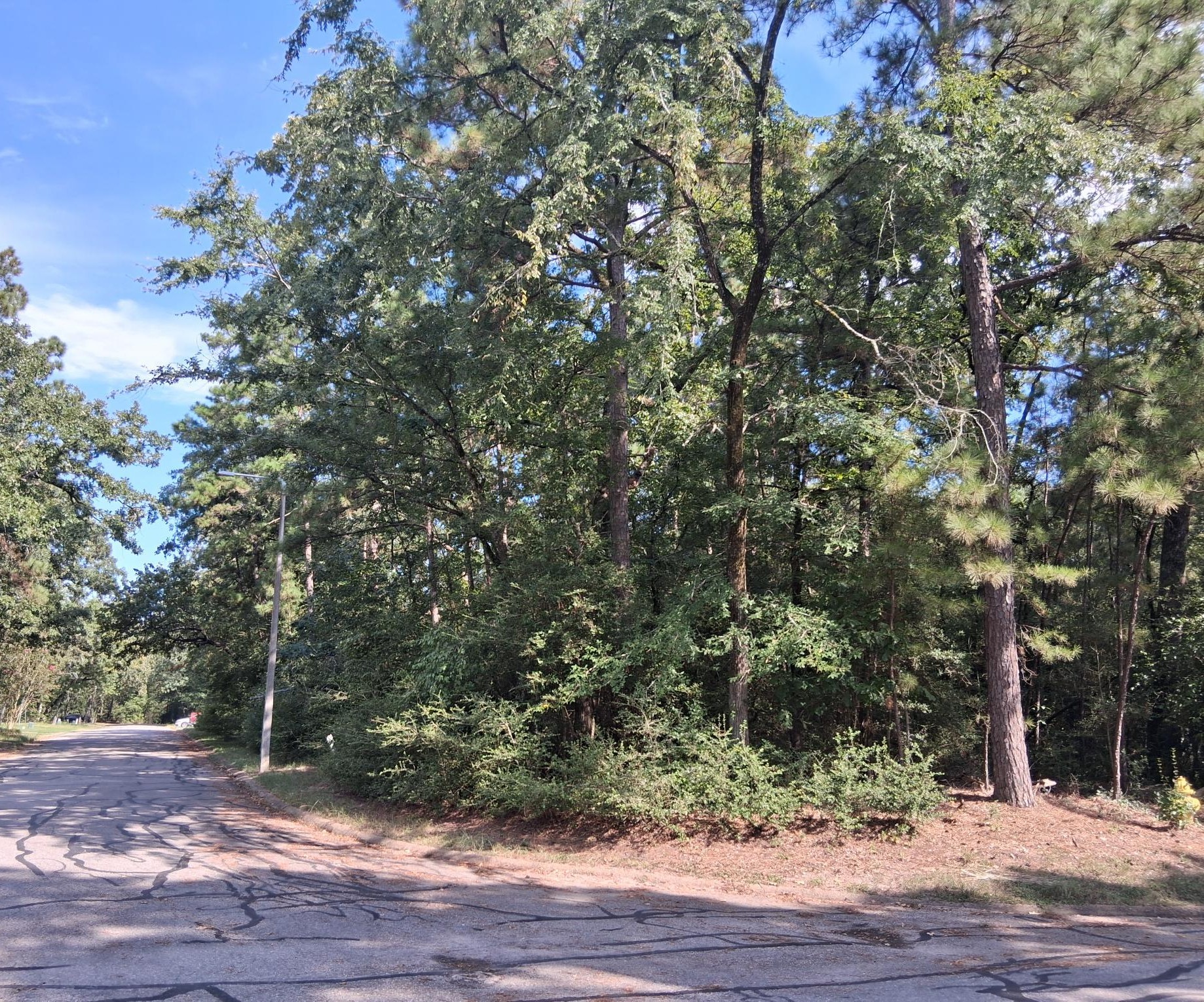 Tbd Rantoul Court Point Blank, TX 77364 - Photo 4 of 10 a view of a yard with plants and wooden fence