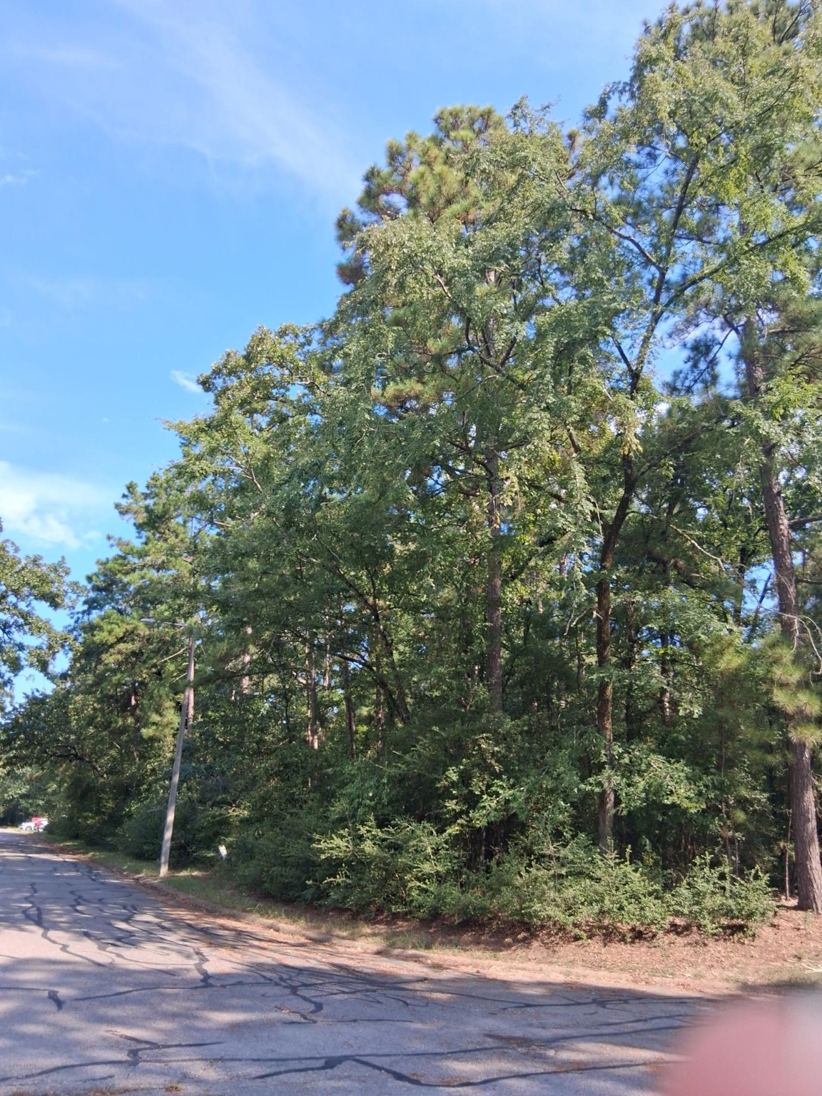 Tbd Rantoul Court Point Blank, TX 77364 - Photo 5 of 10 a view of entryway with wooden floor
