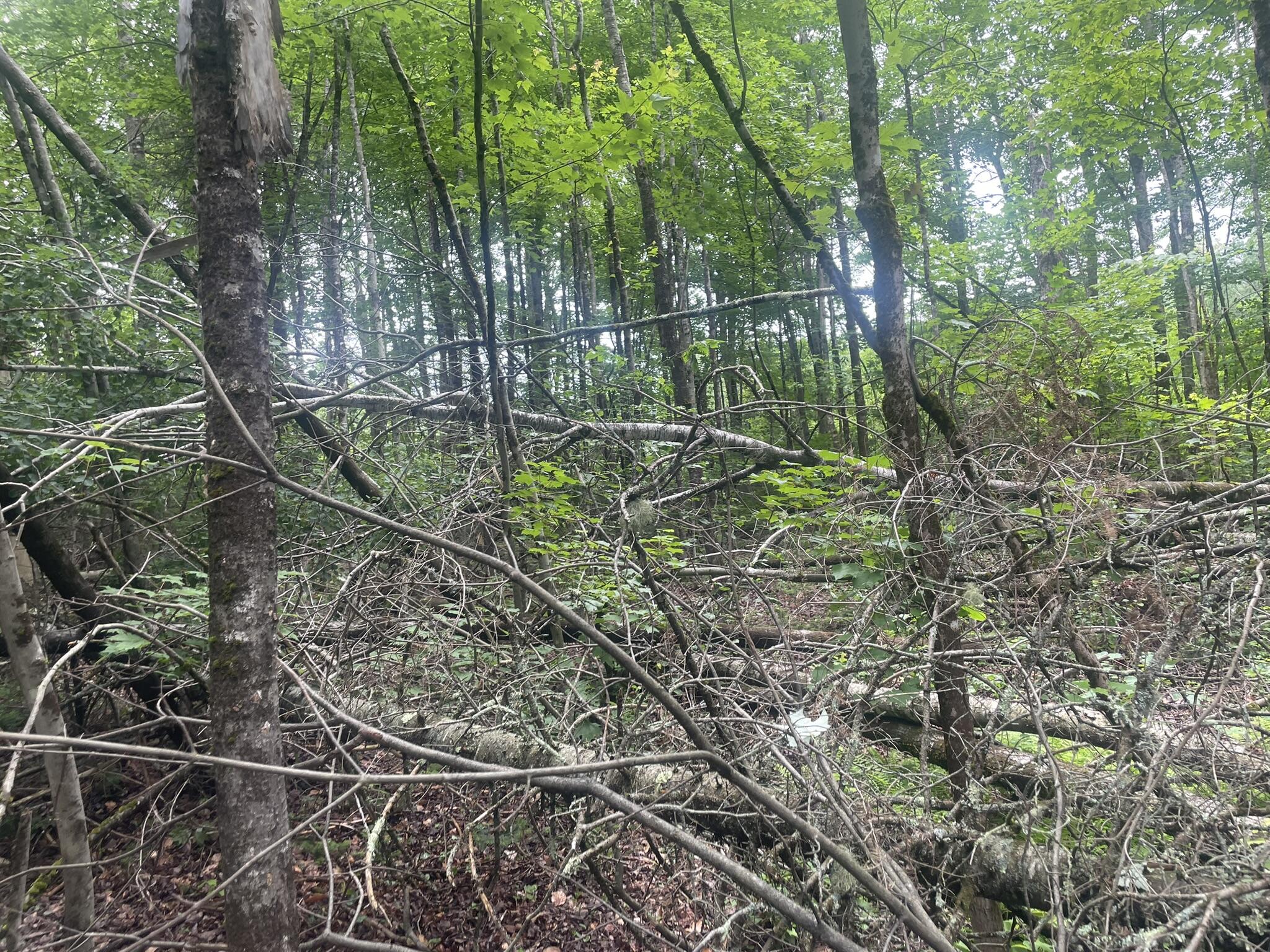 1075 Hill Road Clinton, ME 04927 - Photo 111 of 172 IMG_6209