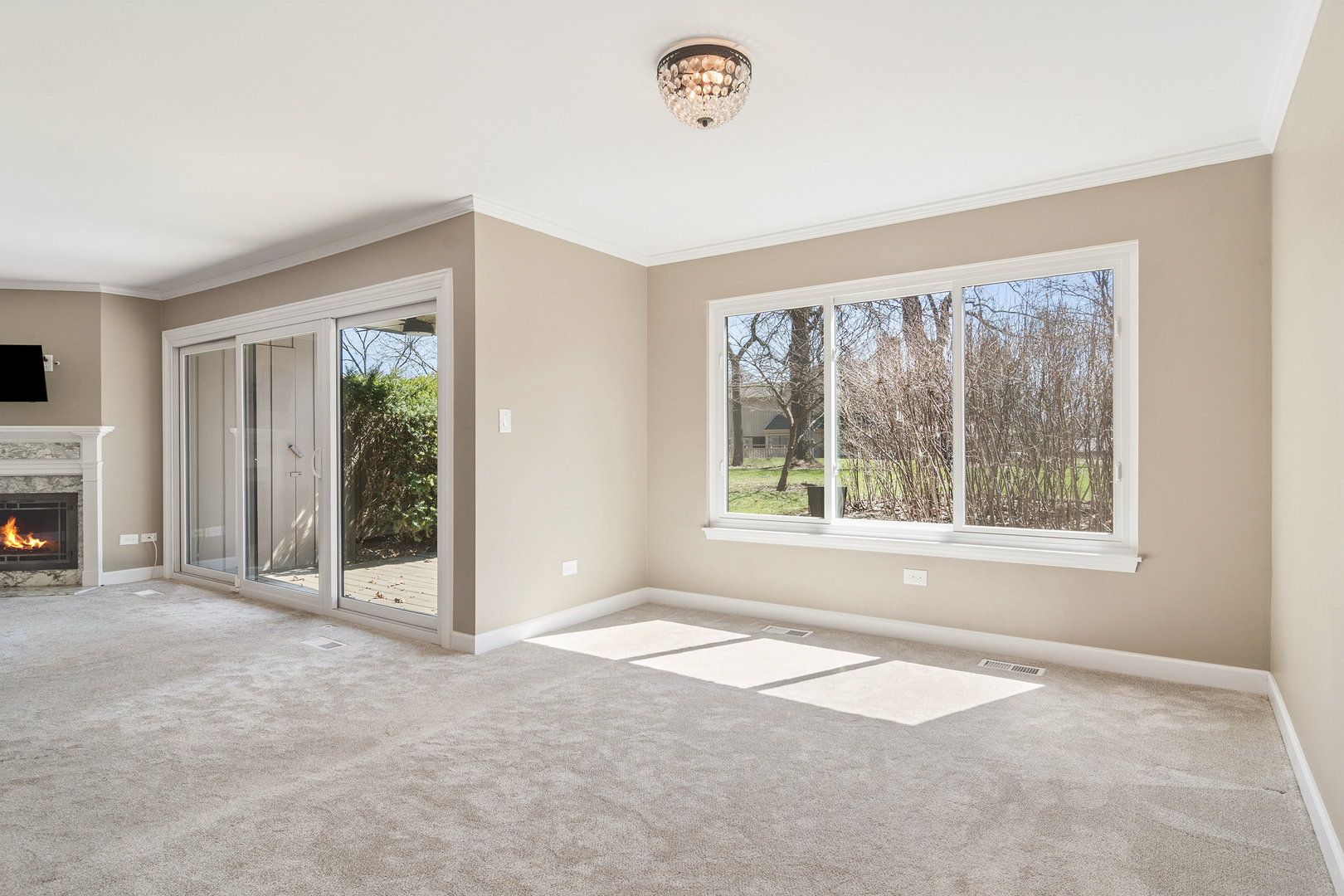 563 Woodview Road, Unit D Lake Barrington, IL 60010 - Photo 9 of 34