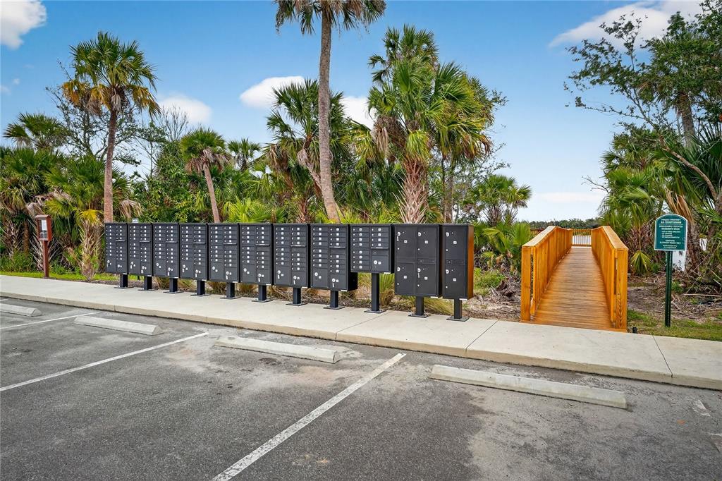 317 Riverfront Way Edgewater, FL 32141 - Photo 56 of 63 a view of a backyard with palm trees