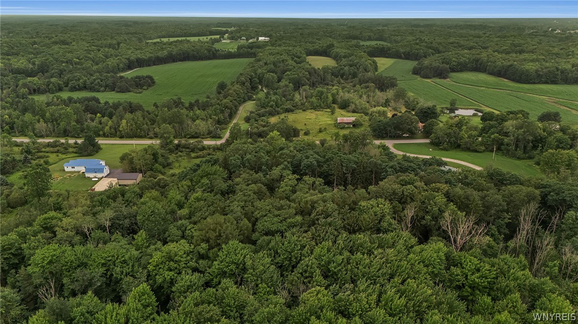 Harlow Road Darien Center, NY 14040 - Photo 9 of 28 Gallery Image 9