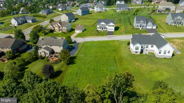 a view of a backyard with potted plants and large trees