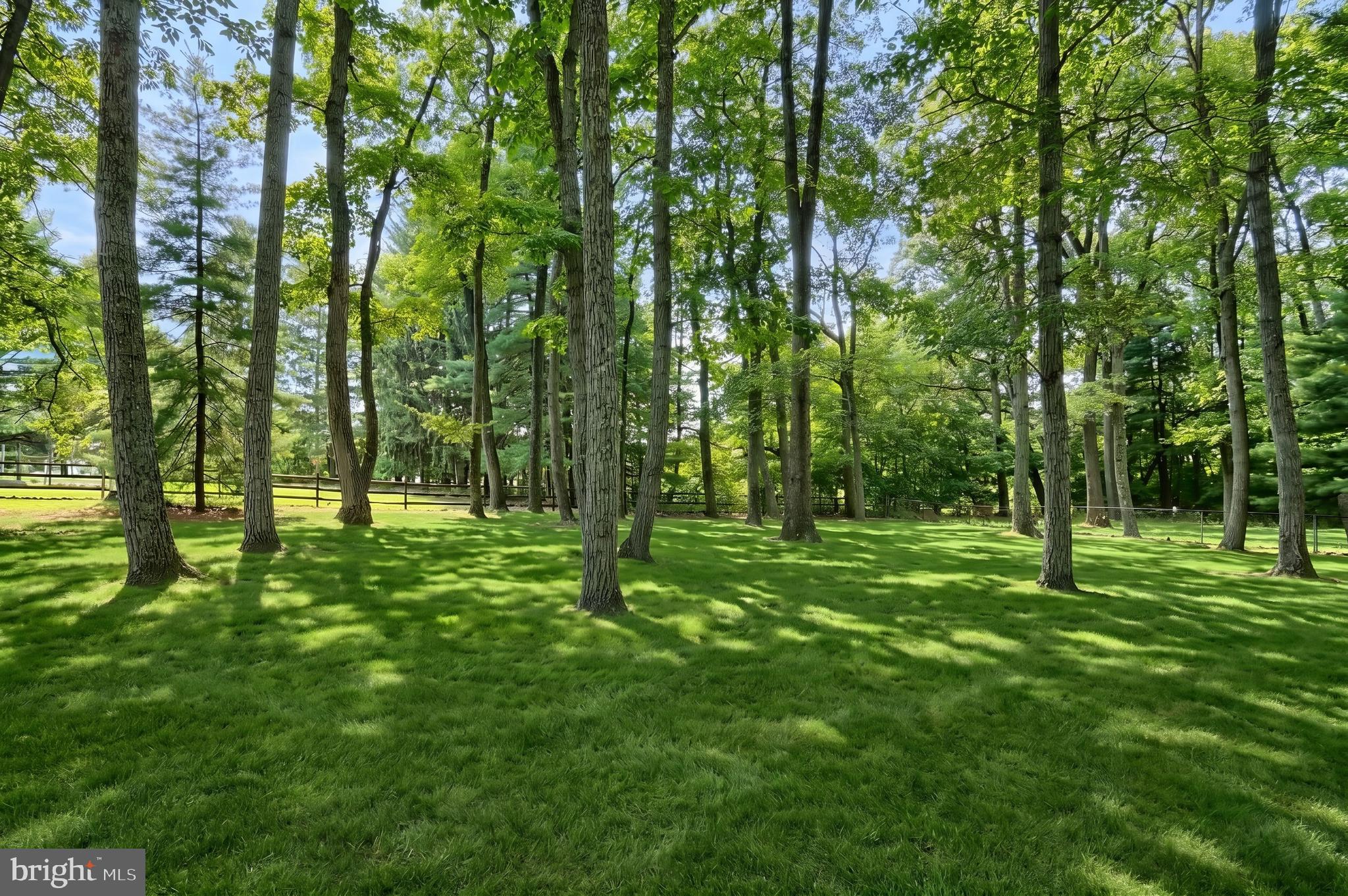 2850 Iron Stone Hill Road York, PA 17403 - Photo 16 of 61 Beautiful wooded area