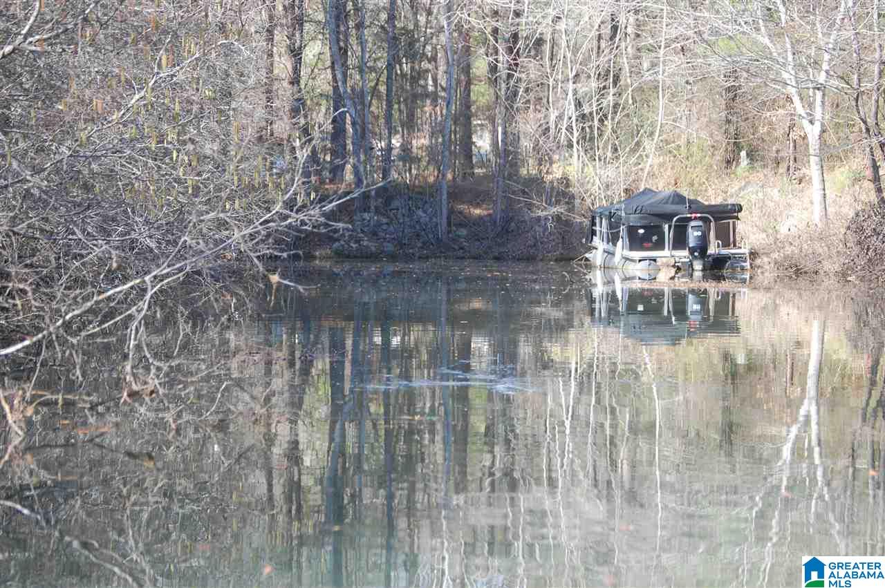 0 Carleton Point, Unit 12 Wilsonville, AL 35186 - Photo 13 of 13