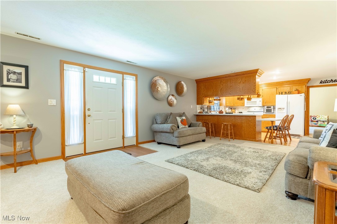 90480 Kilgore Ridge Road Scio, OH 43988 - Photo 7 of 39 Living room with baseboards and light carpet