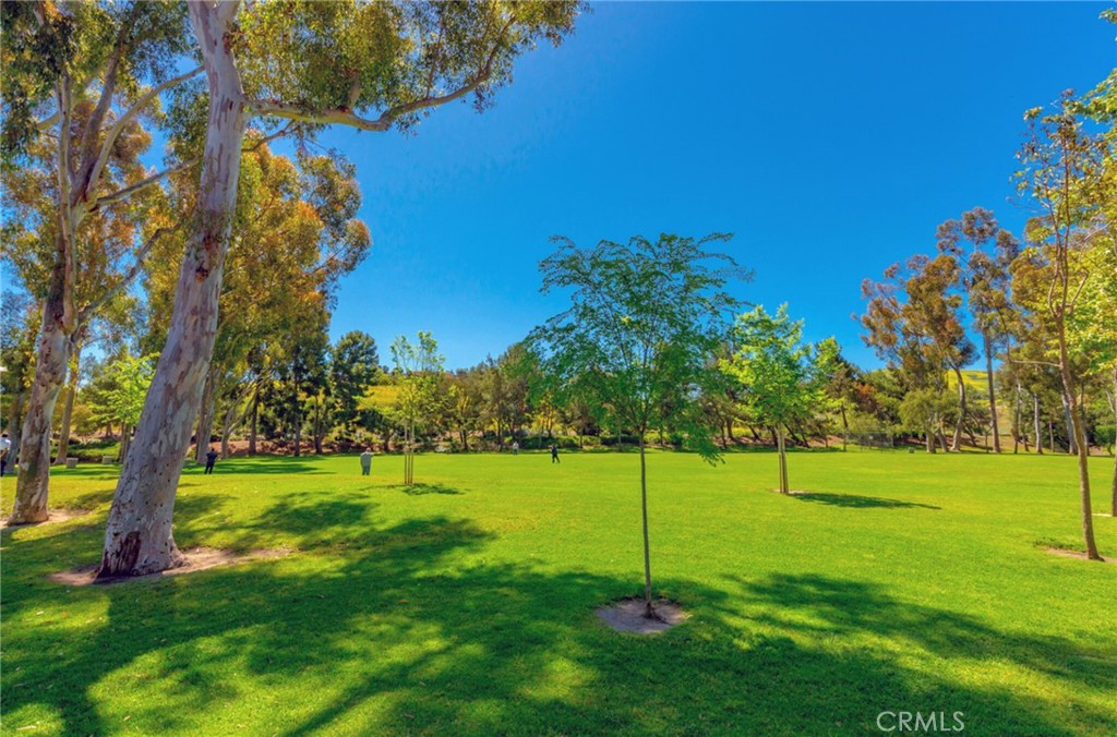 10 Sunshine, Unit 31 Irvine, CA 92603 - Photo 23 of 29 a view of a park with a tree in the background