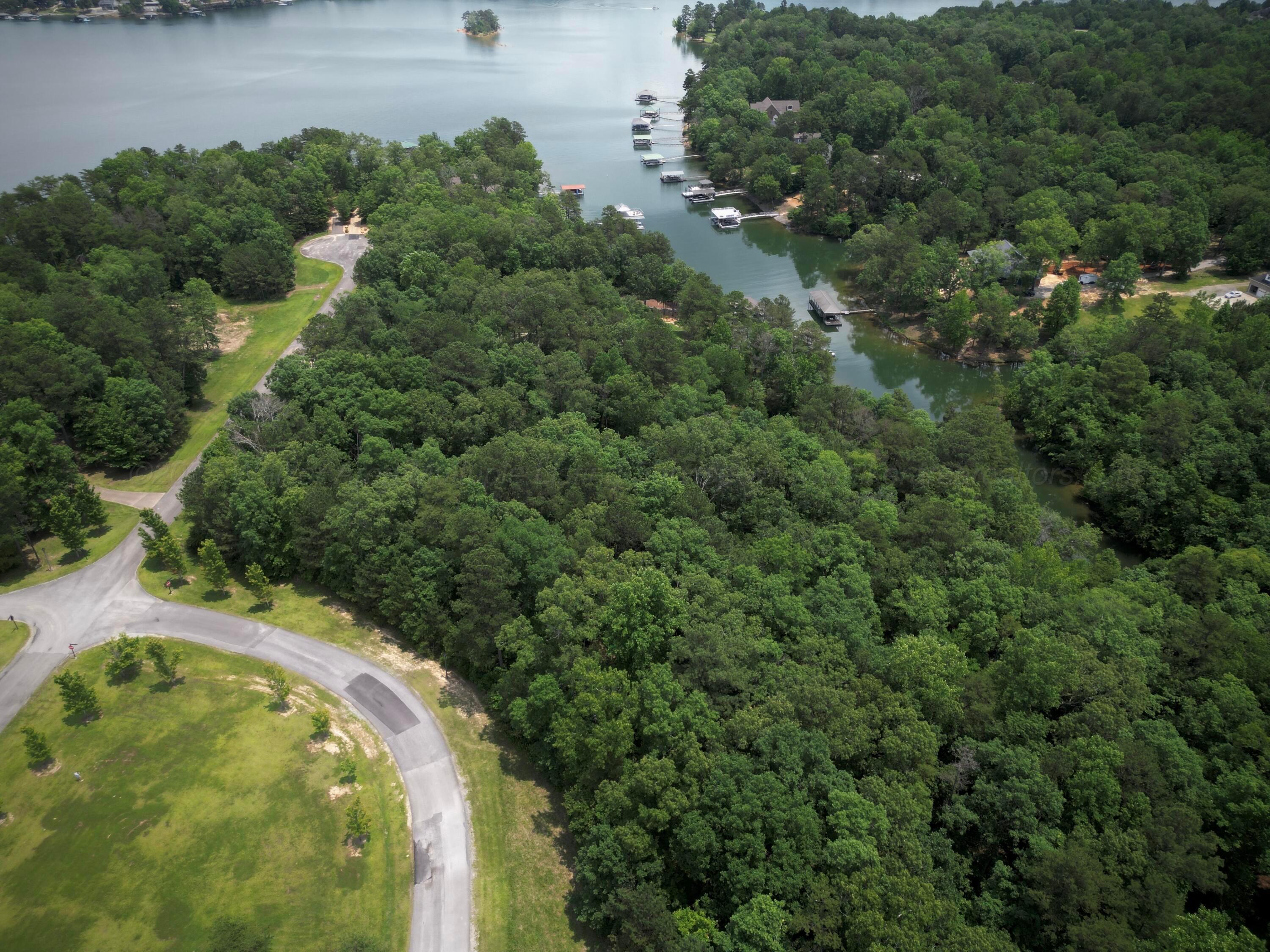Lot 31 Stoney Point Road Double Springs, AL 35553 - Photo 4 of 22 image28