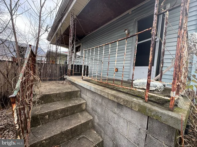 a view of backyard with a small cabin