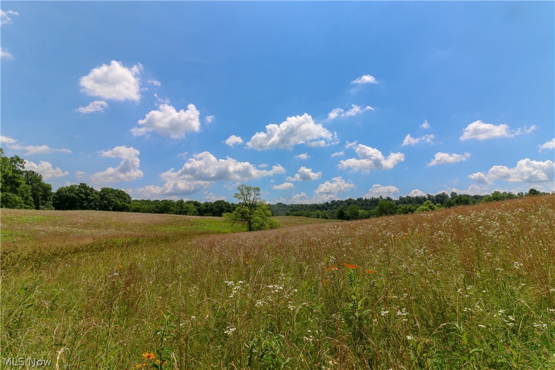 11655 Rural Dale Road Chandlersville, OH 43727 - Photo 29 of 35