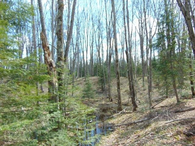 On South Bayview Road Presque Isle, WI 54557 - Photo 17 of 19 Gallery Image 17