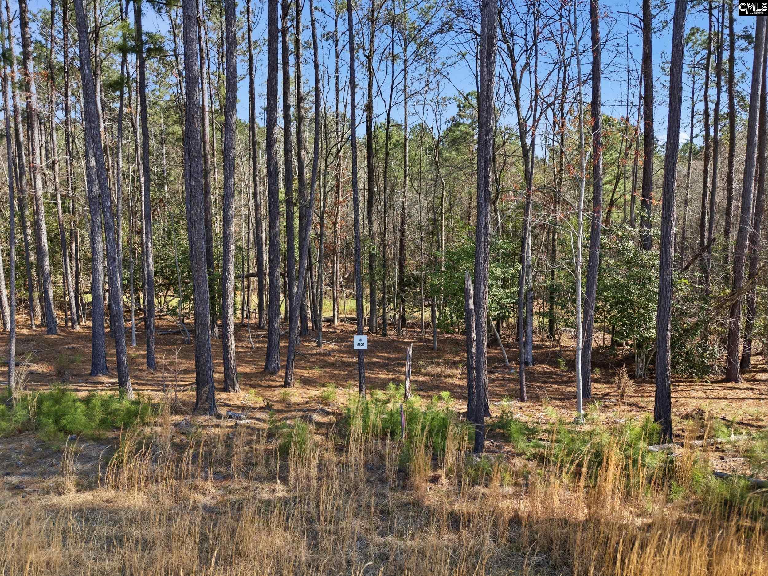 0 Timber Trl Lane Prosperity, SC 29127 - Photo 10 of 32
