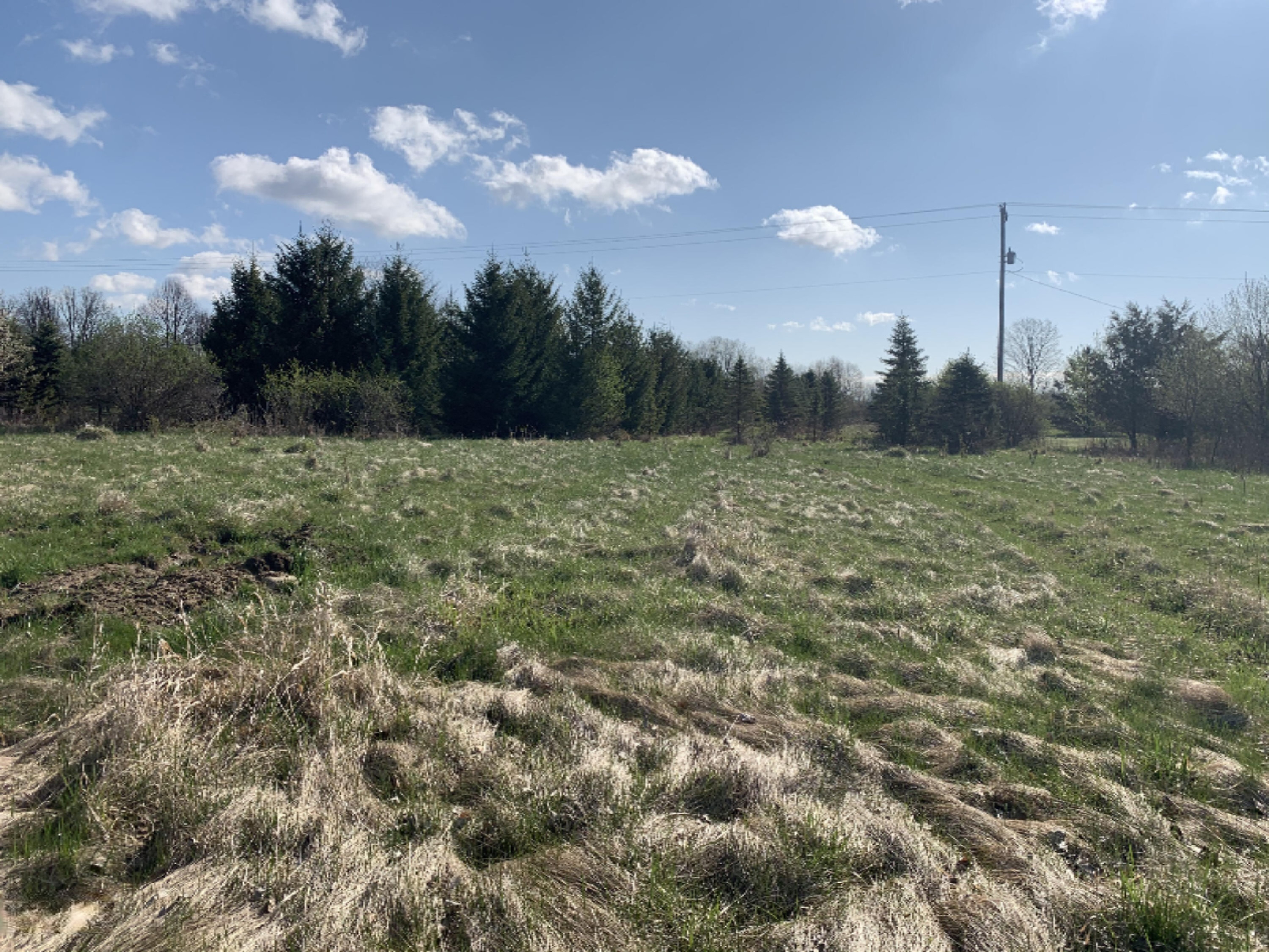 North Shaytown Road Sunfield, MI 48890 - Photo 13 of 14 IMG_3870