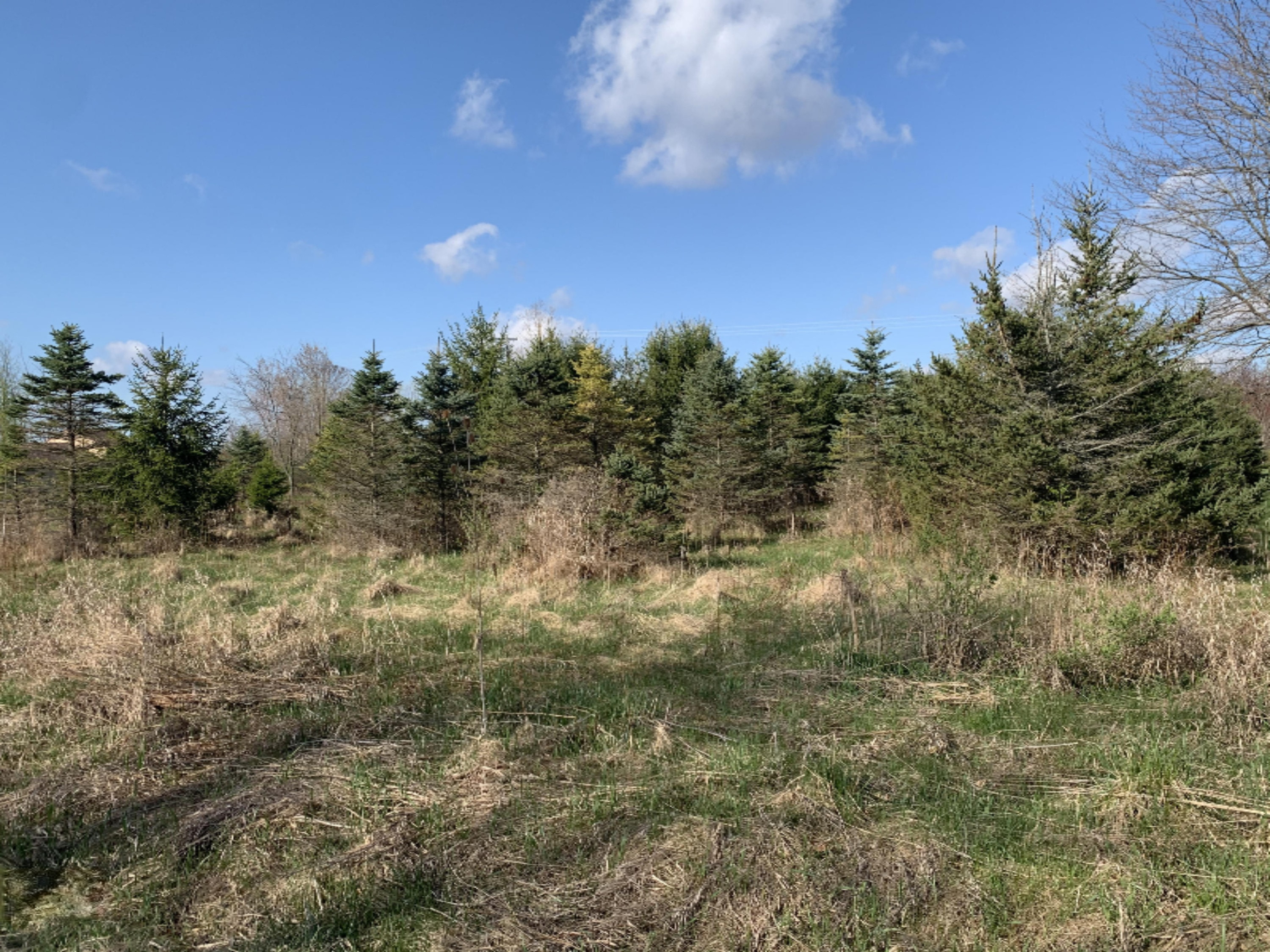 North Shaytown Road Sunfield, MI 48890 - Photo 2 of 14 IMG_3861