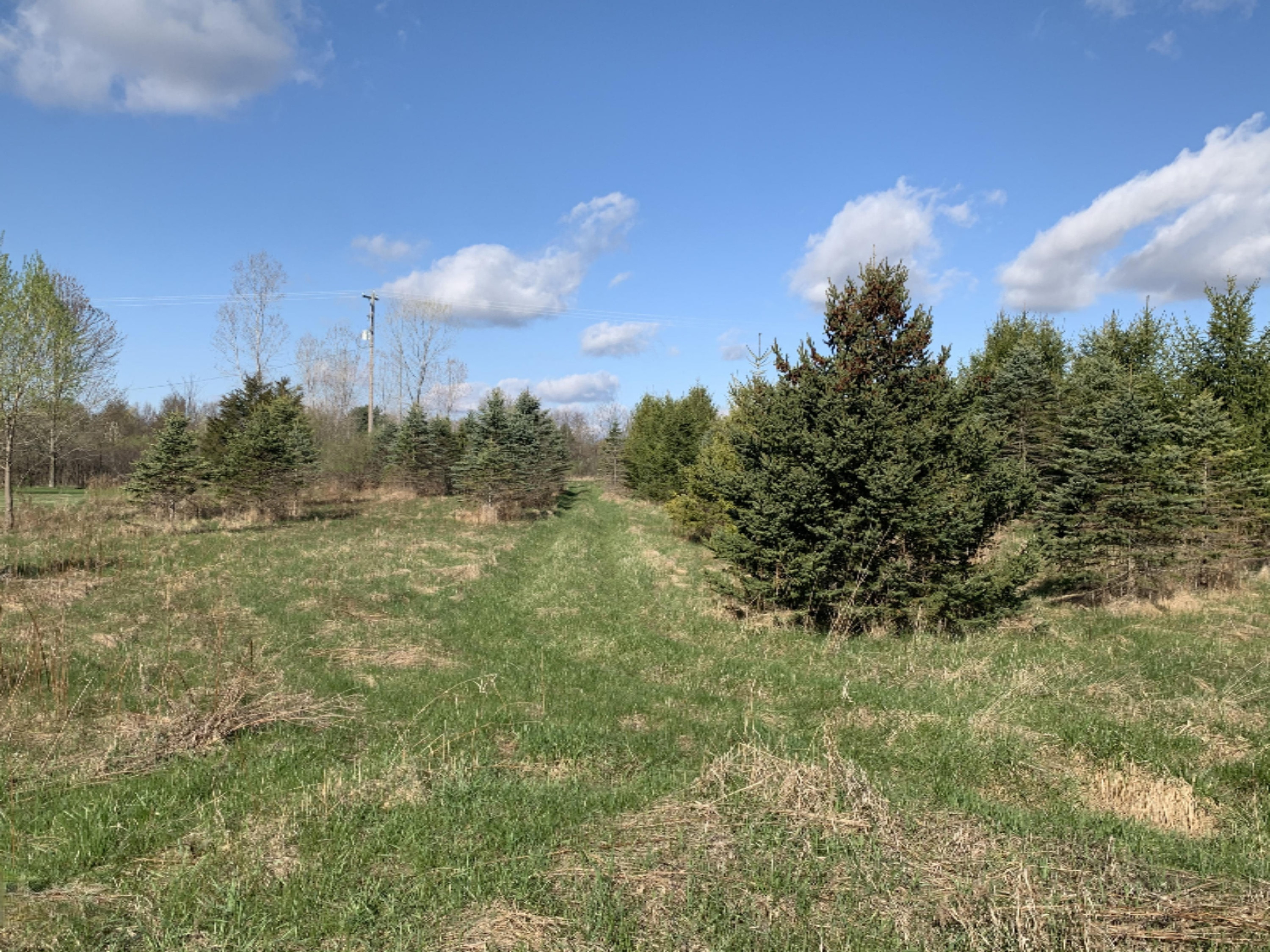 North Shaytown Road Sunfield, MI 48890 - Photo 3 of 14 IMG_3862