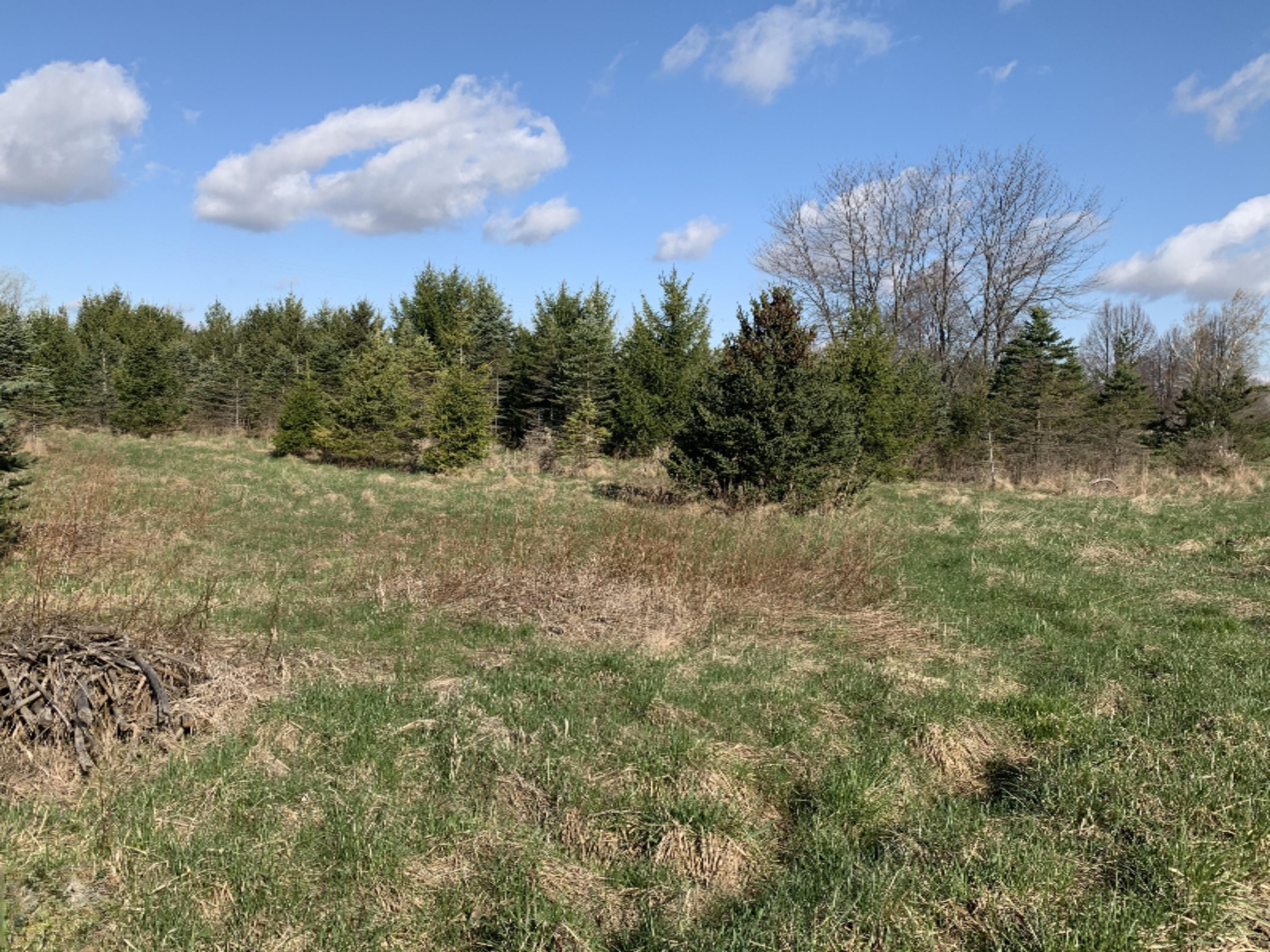 North Shaytown Road Sunfield, MI 48890 - Photo 5 of 14 IMG_3864