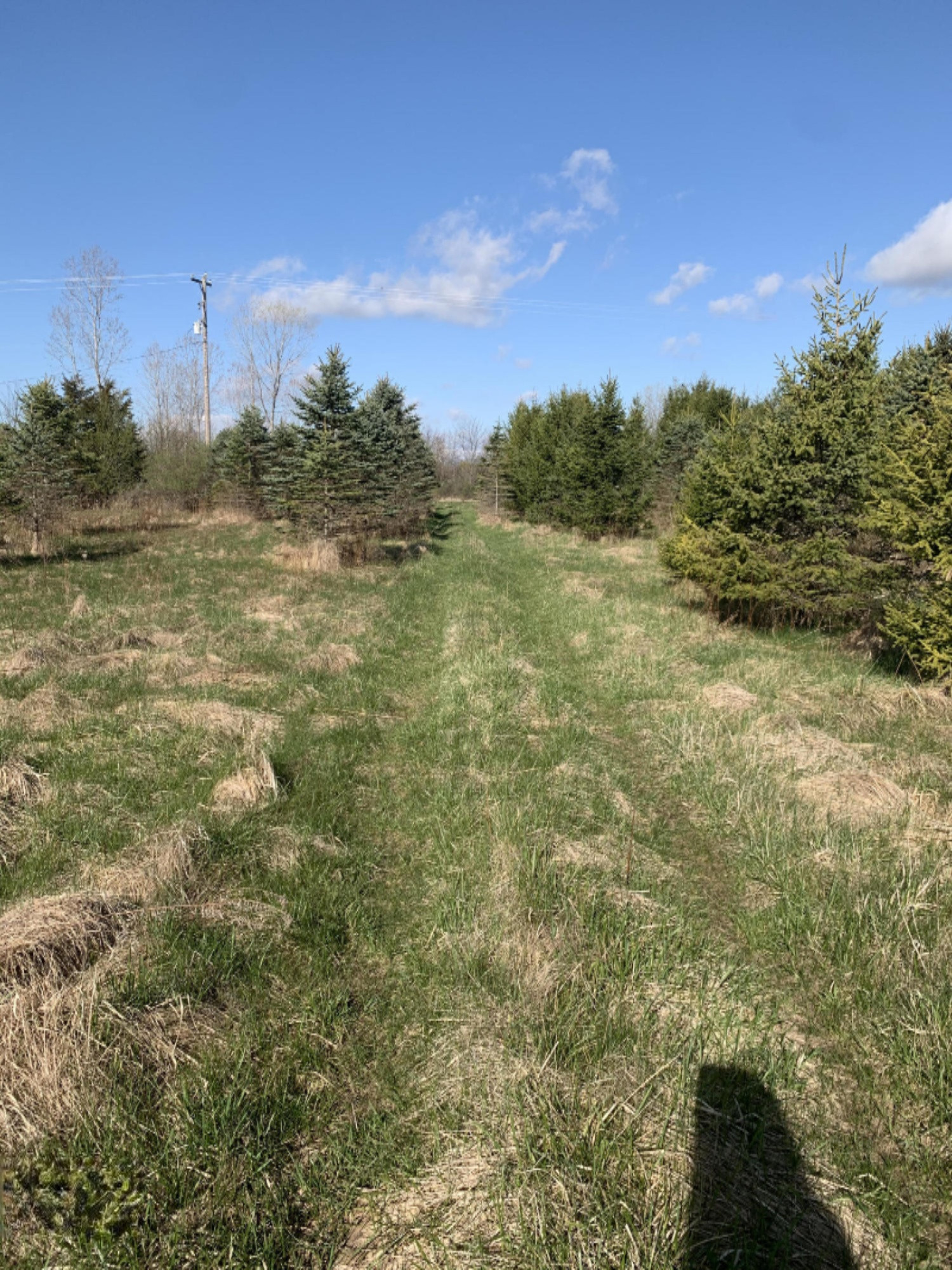 North Shaytown Road Sunfield, MI 48890 - Photo 6 of 14 IMG_3865