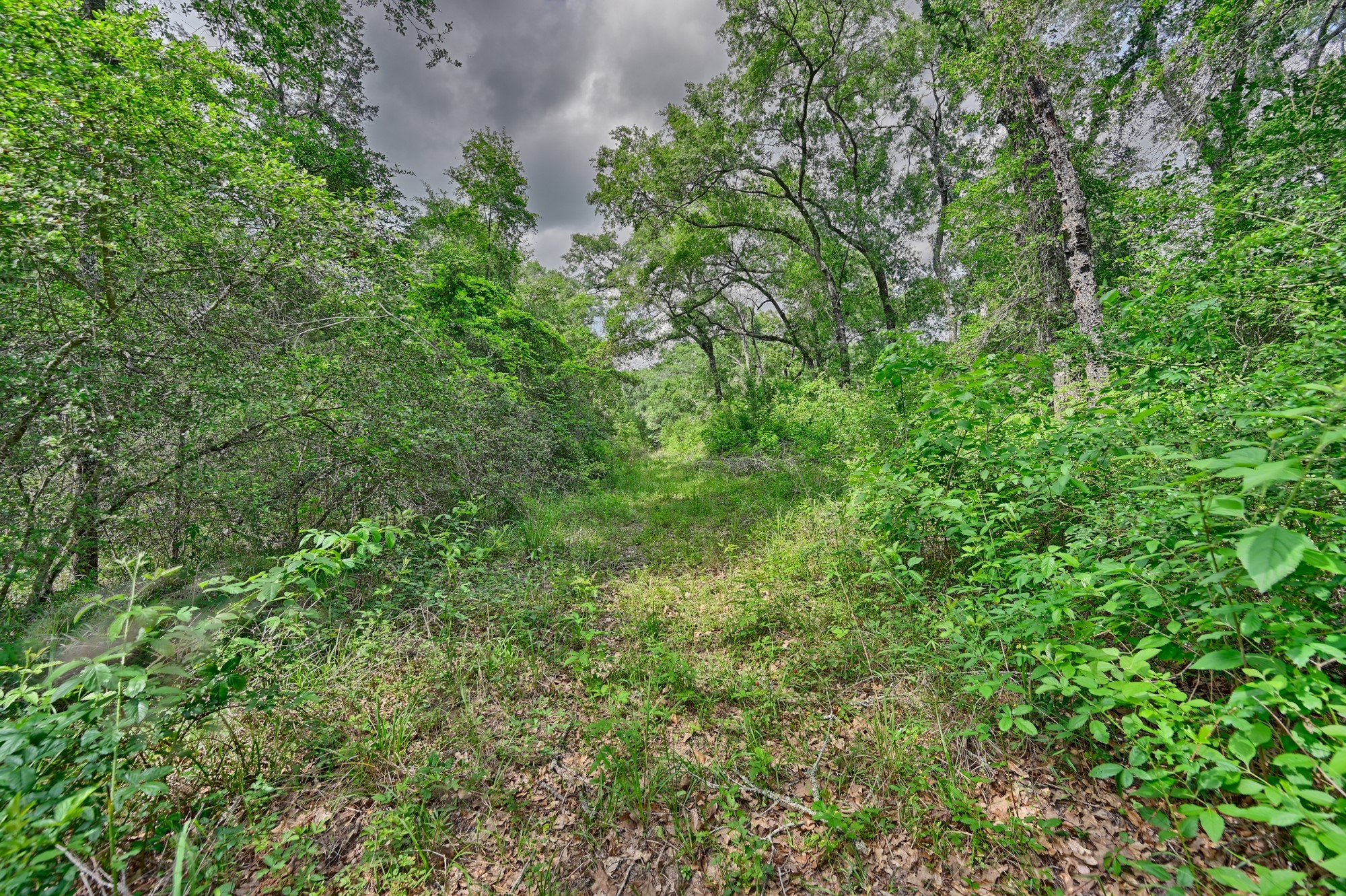 17718 Tranquil Lane Cat Spring, TX 78933 - Photo 8 of 13