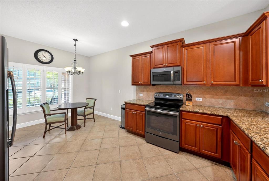 30224 Cheval Street Mount Dora, FL 32757 - Photo 13 of 45